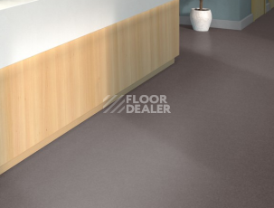 Tarkett iq Melodia 2617 фото 2 | FLOORDEALER